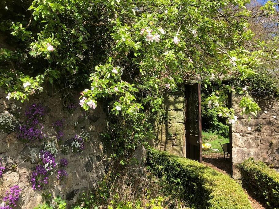 Apartment Unique Orchard For Couples With Hot Tub Strathaven